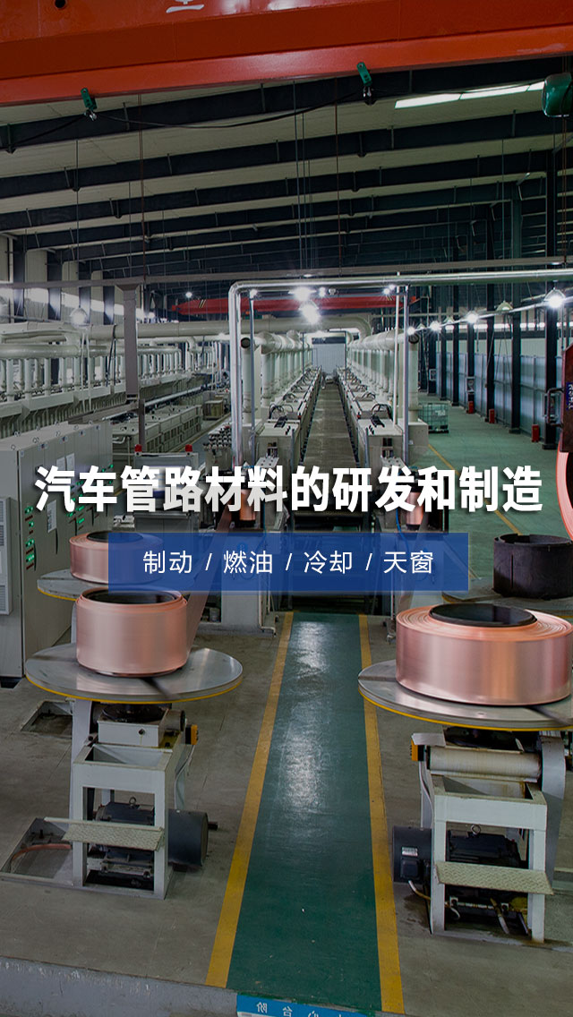 糖心
有限公司